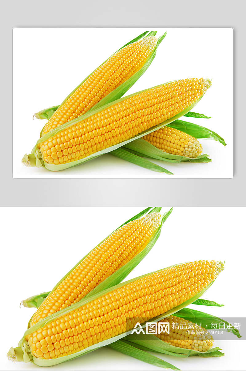 清新玉米棒玉米粒食品图片素材