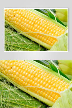 清新玉米棒玉米粒食物图片
