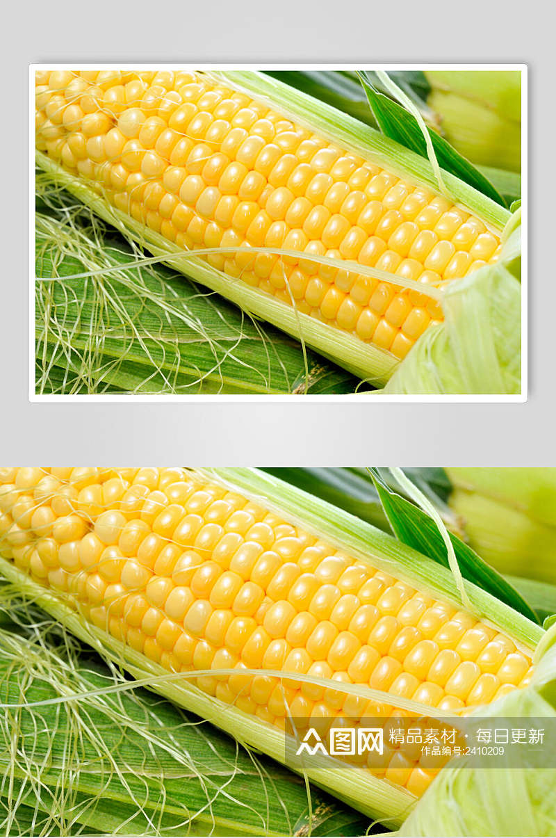 清新玉米棒玉米粒食物图片素材