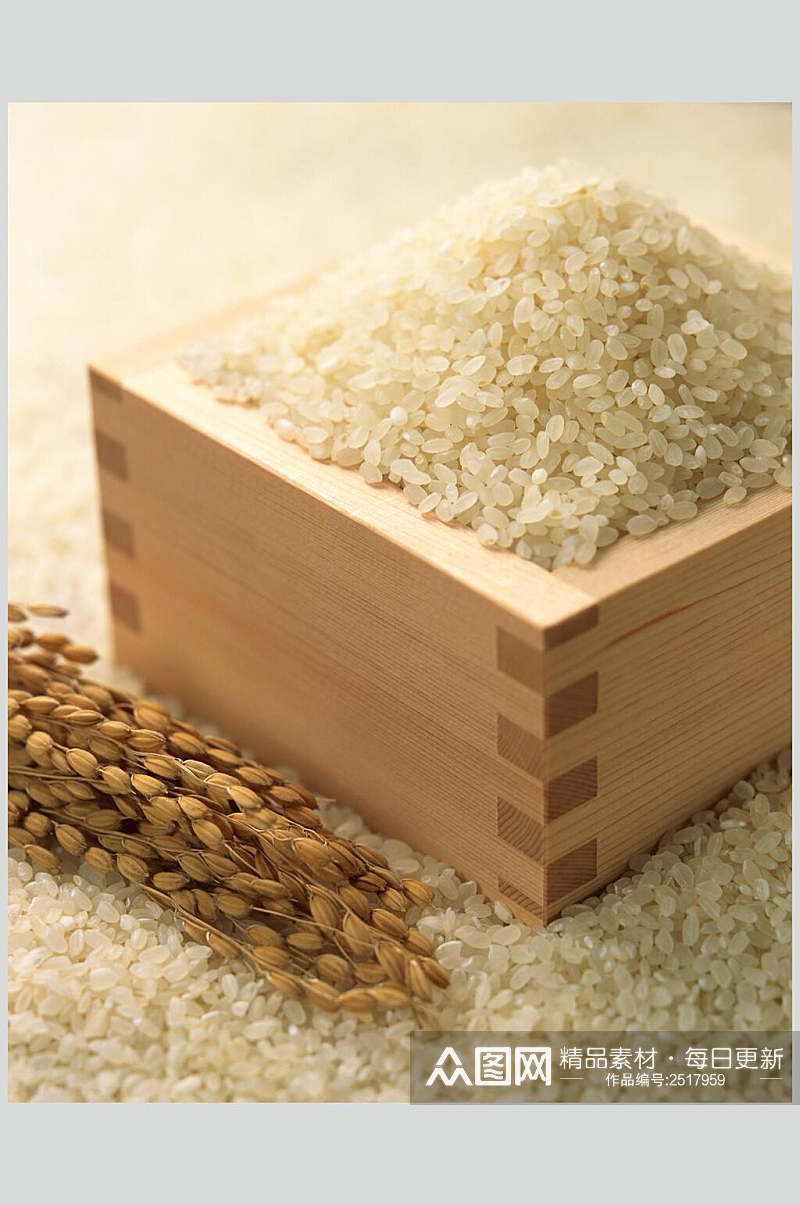 东北大米稻米图片素材