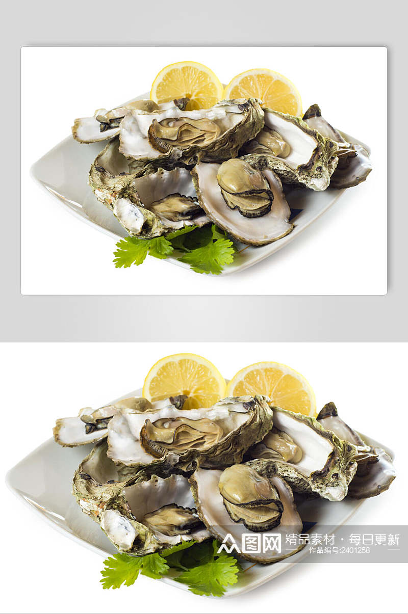 鲜香牡蛎蛤蜊生蚝图片素材