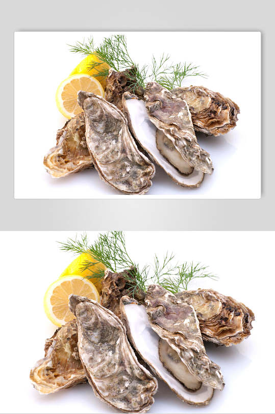 招牌精选海鲜牡蛎蛤蜊生蚝食品图片