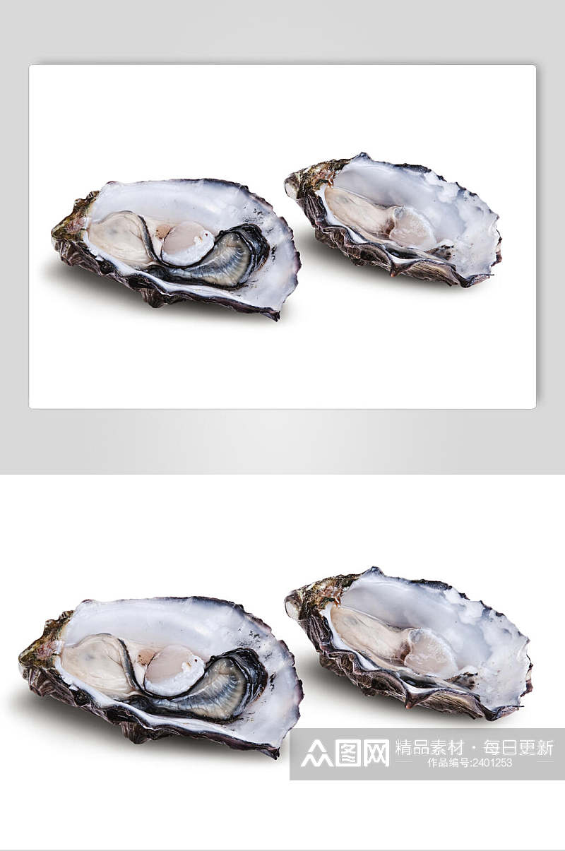 牡蛎蛤蜊生蚝高清图片素材