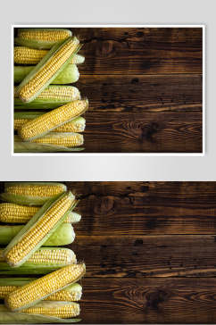 新鲜玉米棒玉米粒图片