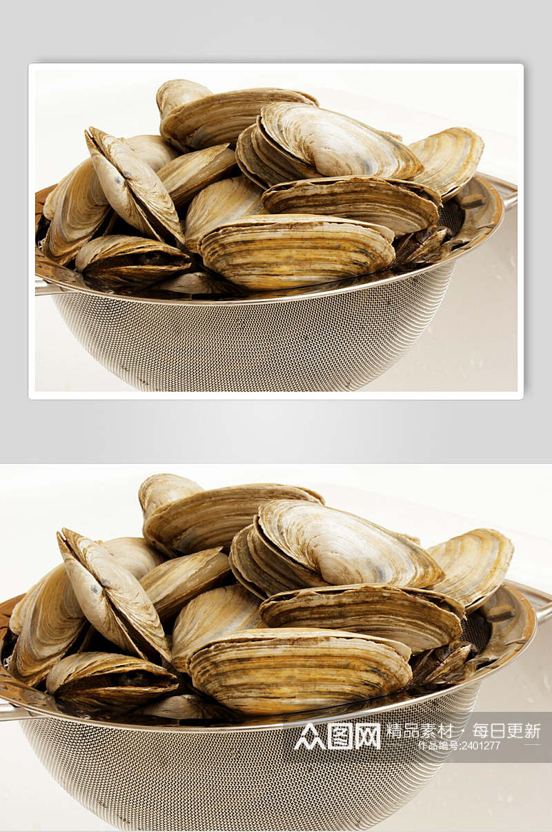 新鲜美味牡蛎蛤蜊生蚝图片素材