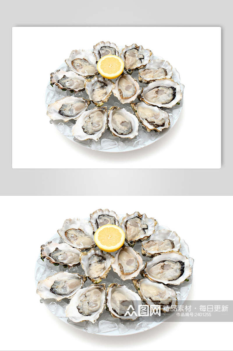 美味牡蛎蛤蜊生蚝图片素材