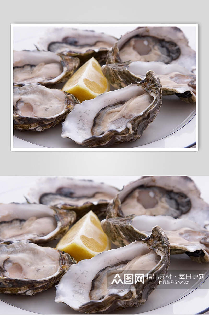 牡蛎蛤蜊生蚝食物图片素材