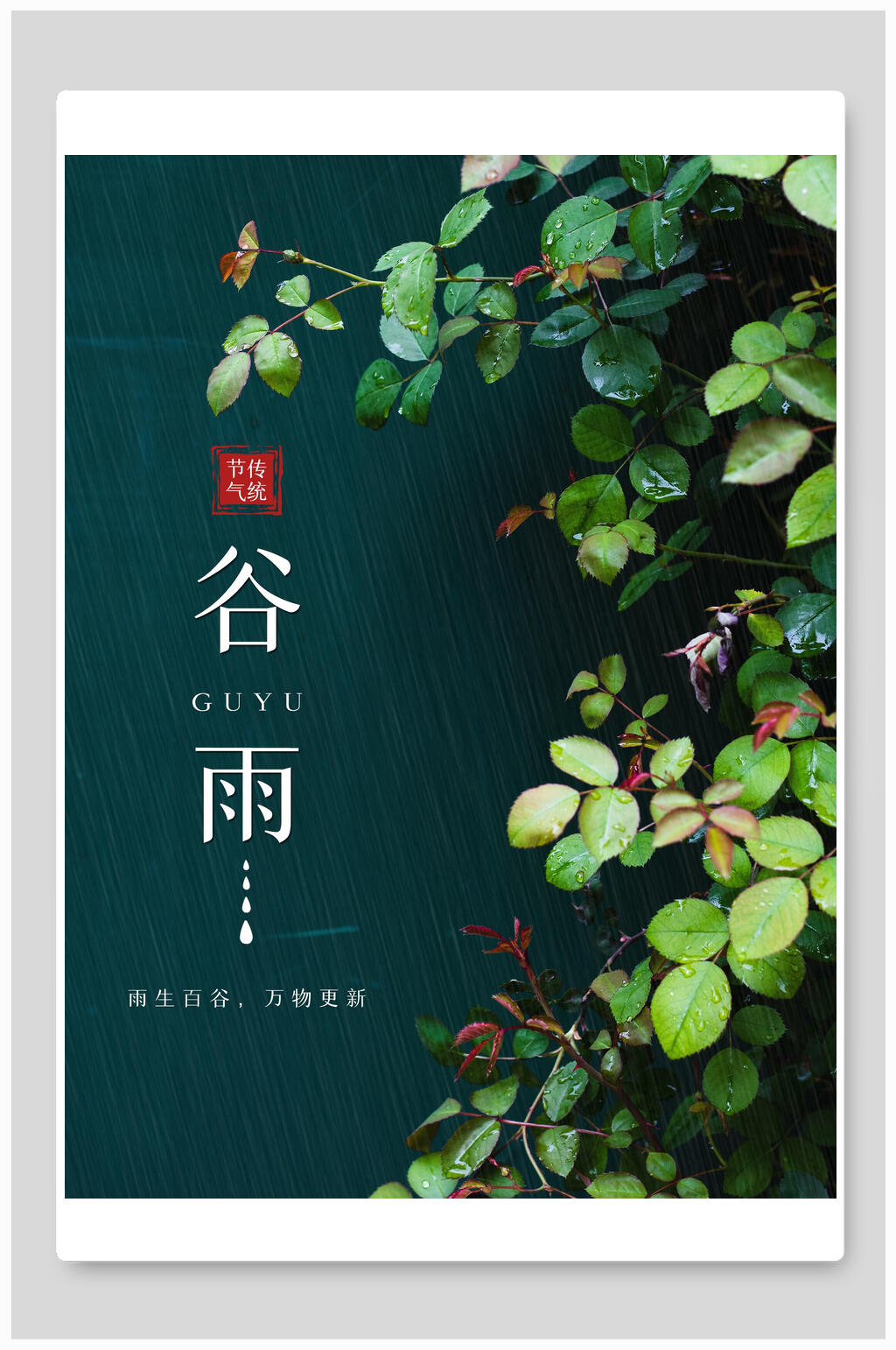 植物谷雨中国节气海报素材