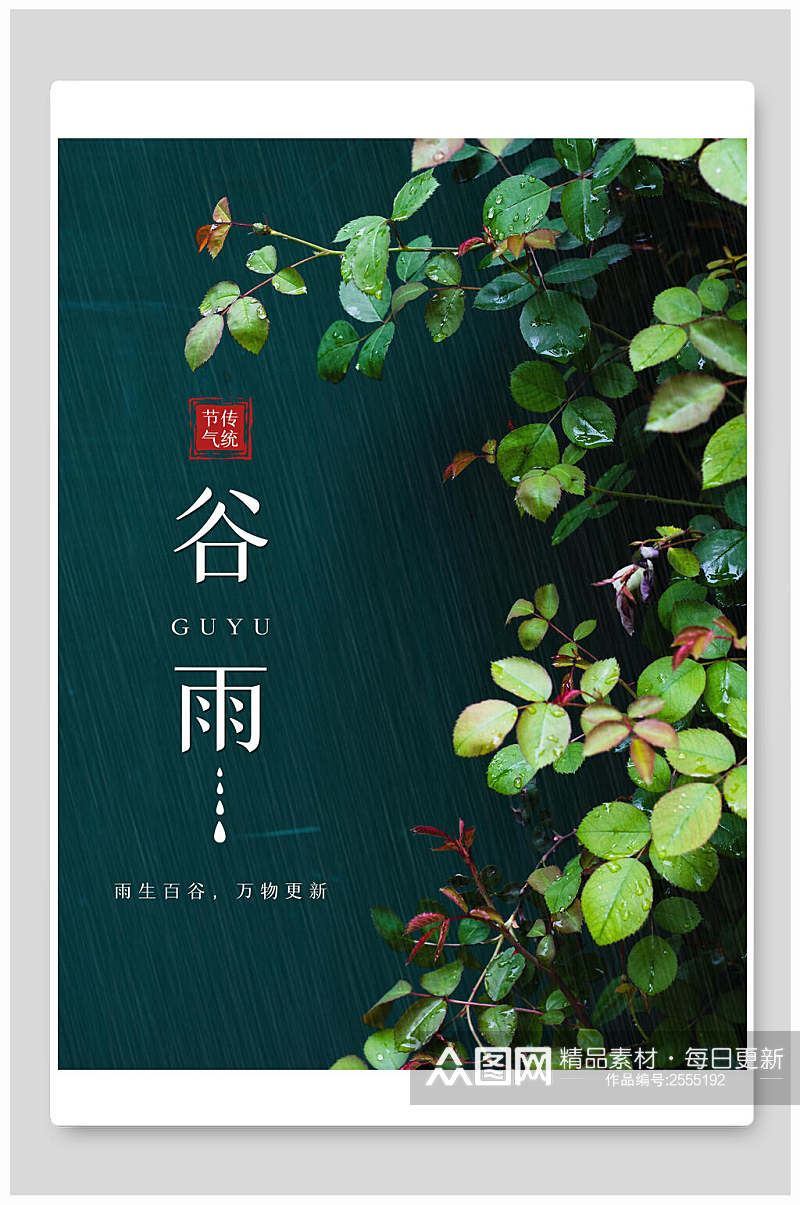 植物谷雨中国节气海报素材