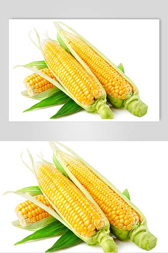清新品质玉米棒玉米粒食品图片