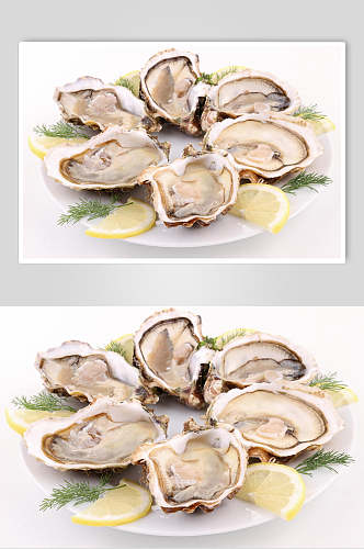招牌柠檬牡蛎蛤蜊生蚝食品图片