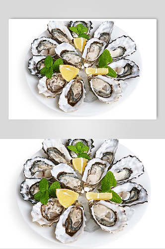 柠檬牡蛎蛤蜊生蚝图片