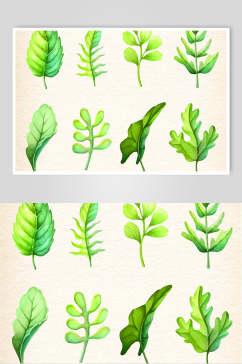 水彩绿色大气植物叶子矢量素材