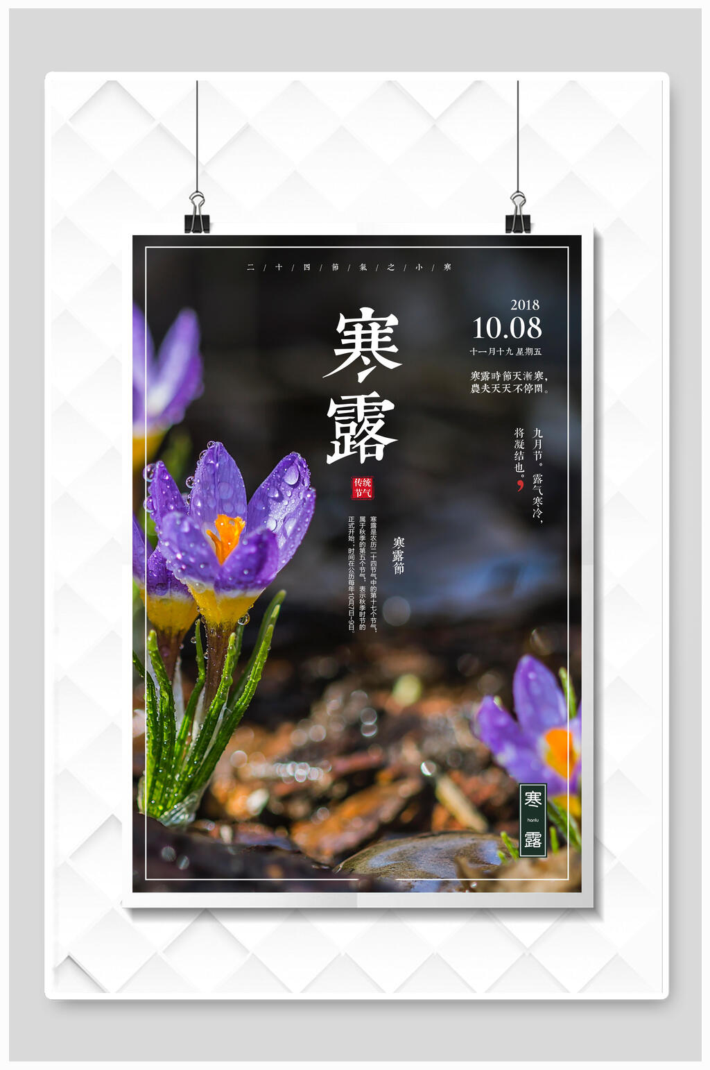 清新花卉唯美寒露海报素材