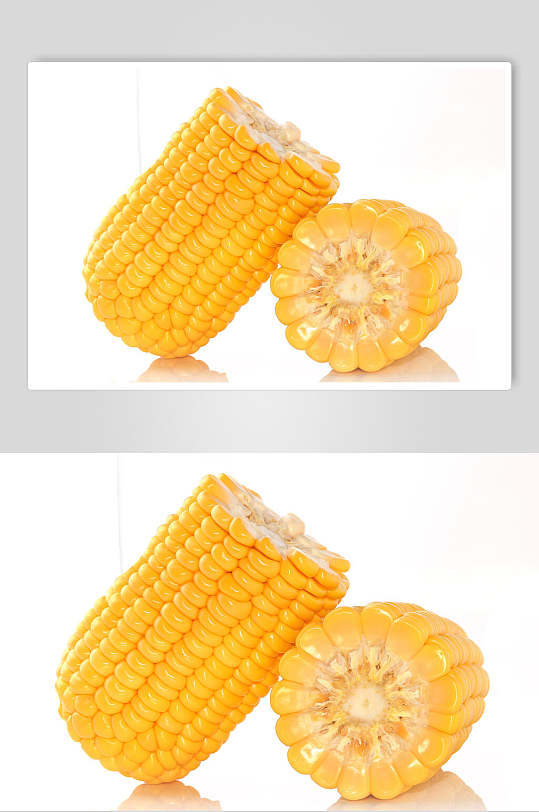 白底玉米棒玉米粒图片