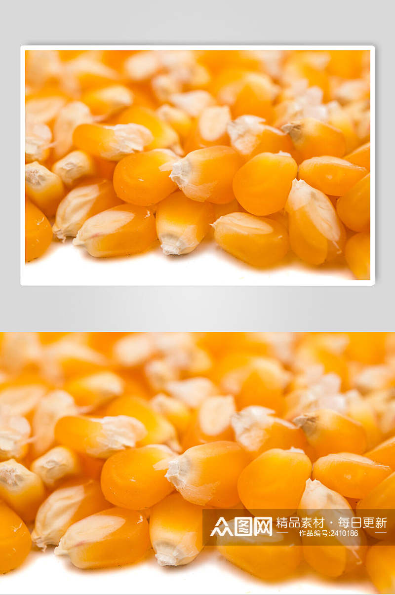 营养玉米棒玉米粒食品图片素材