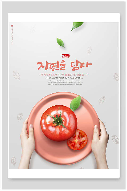 清新西红柿食材海报