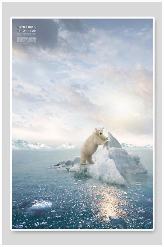 北极熊动物保护海报背景