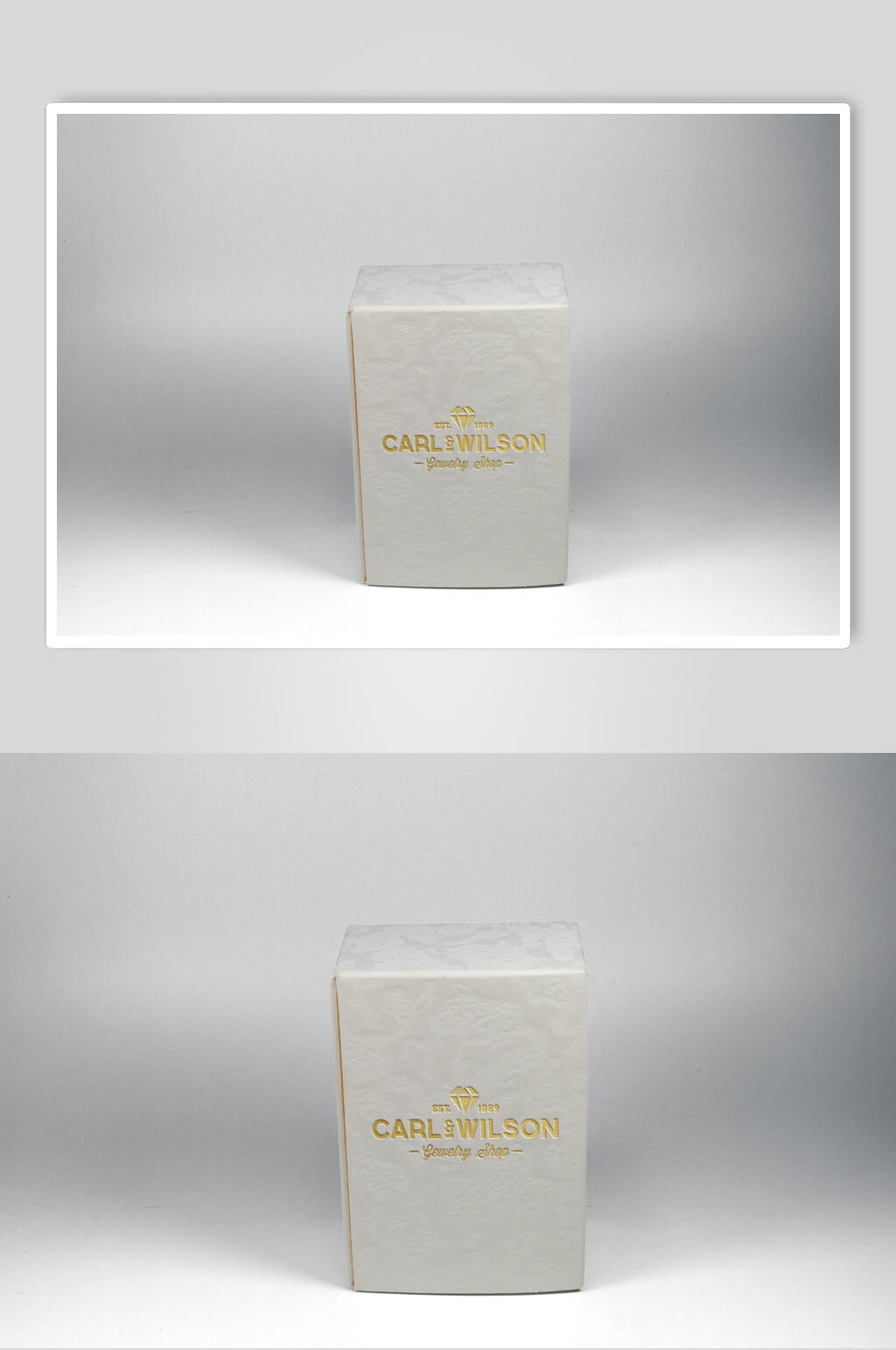 轻奢烫金盒装样机素材