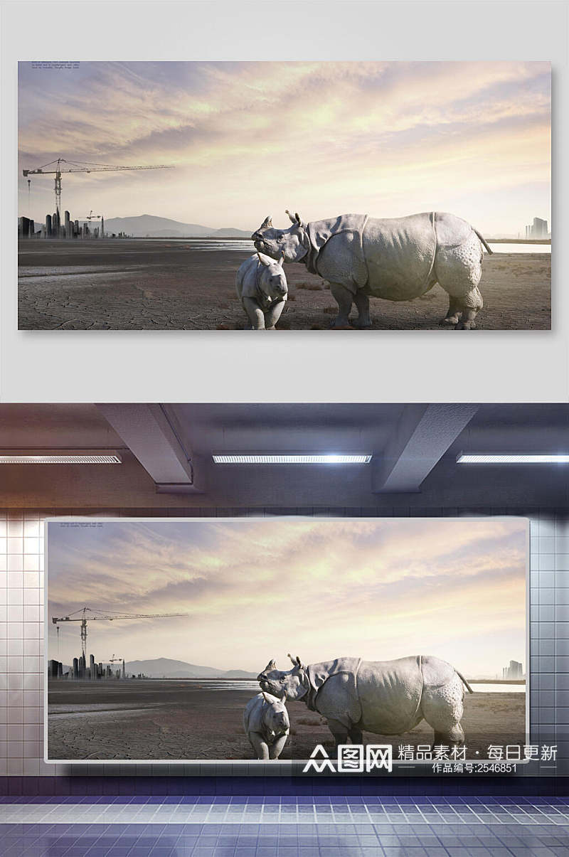 犀牛动物保护海报背景展板素材