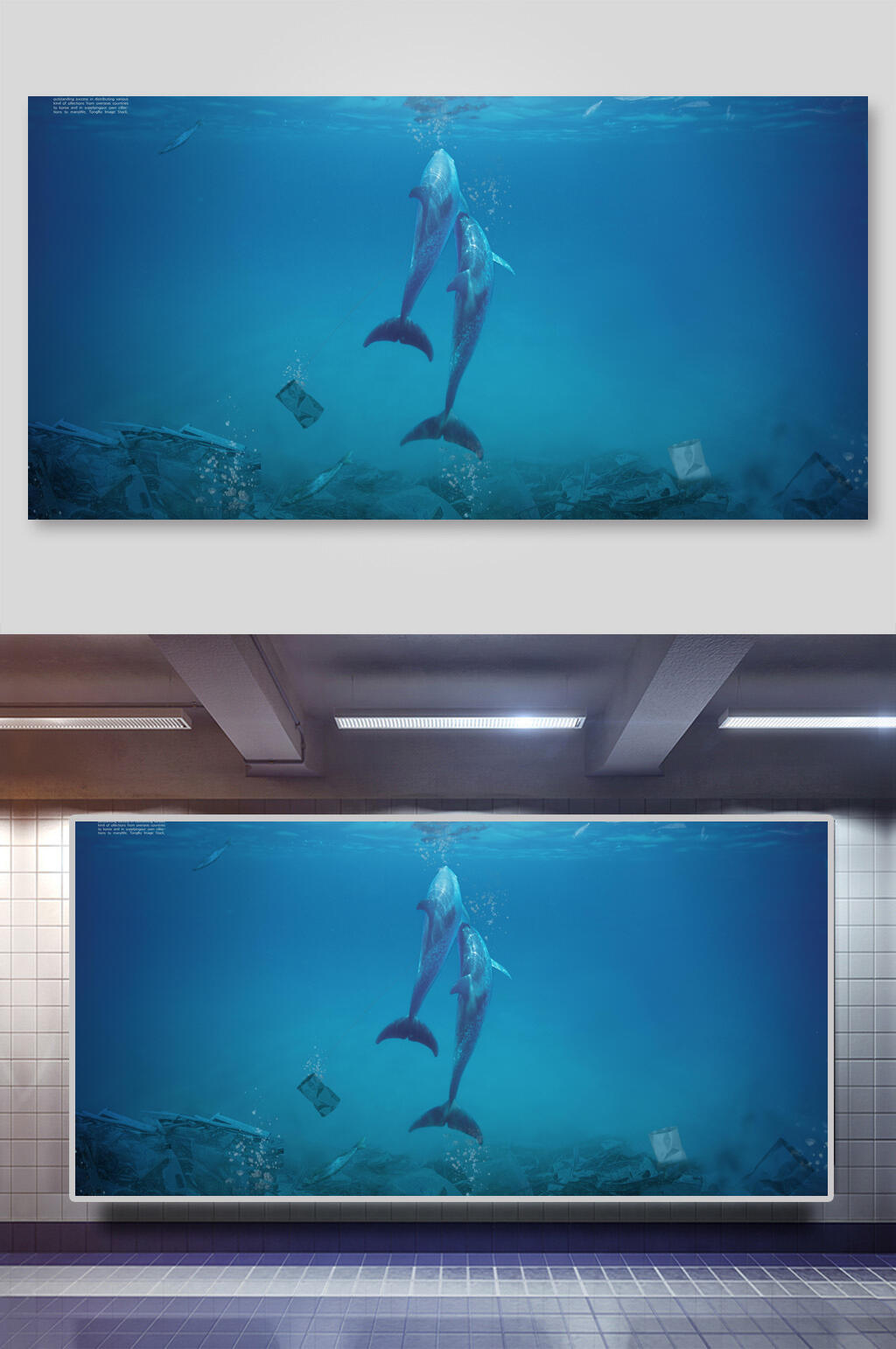 海豚动物保护海报背景展板