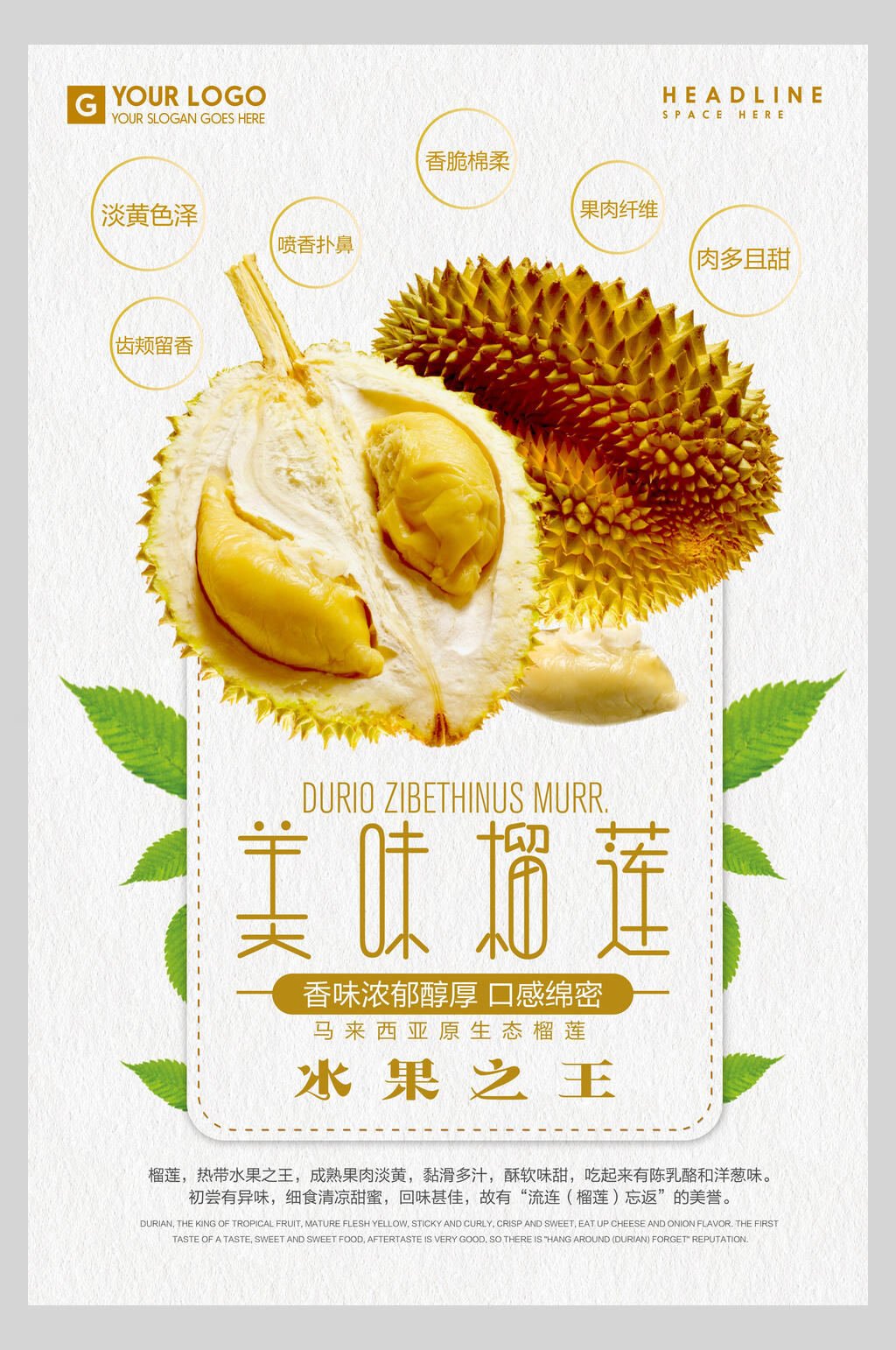 清新美味料理蔬果海报素材