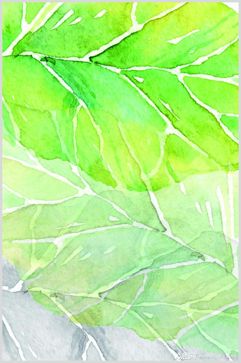 水彩手绘森系小清新植物图片
