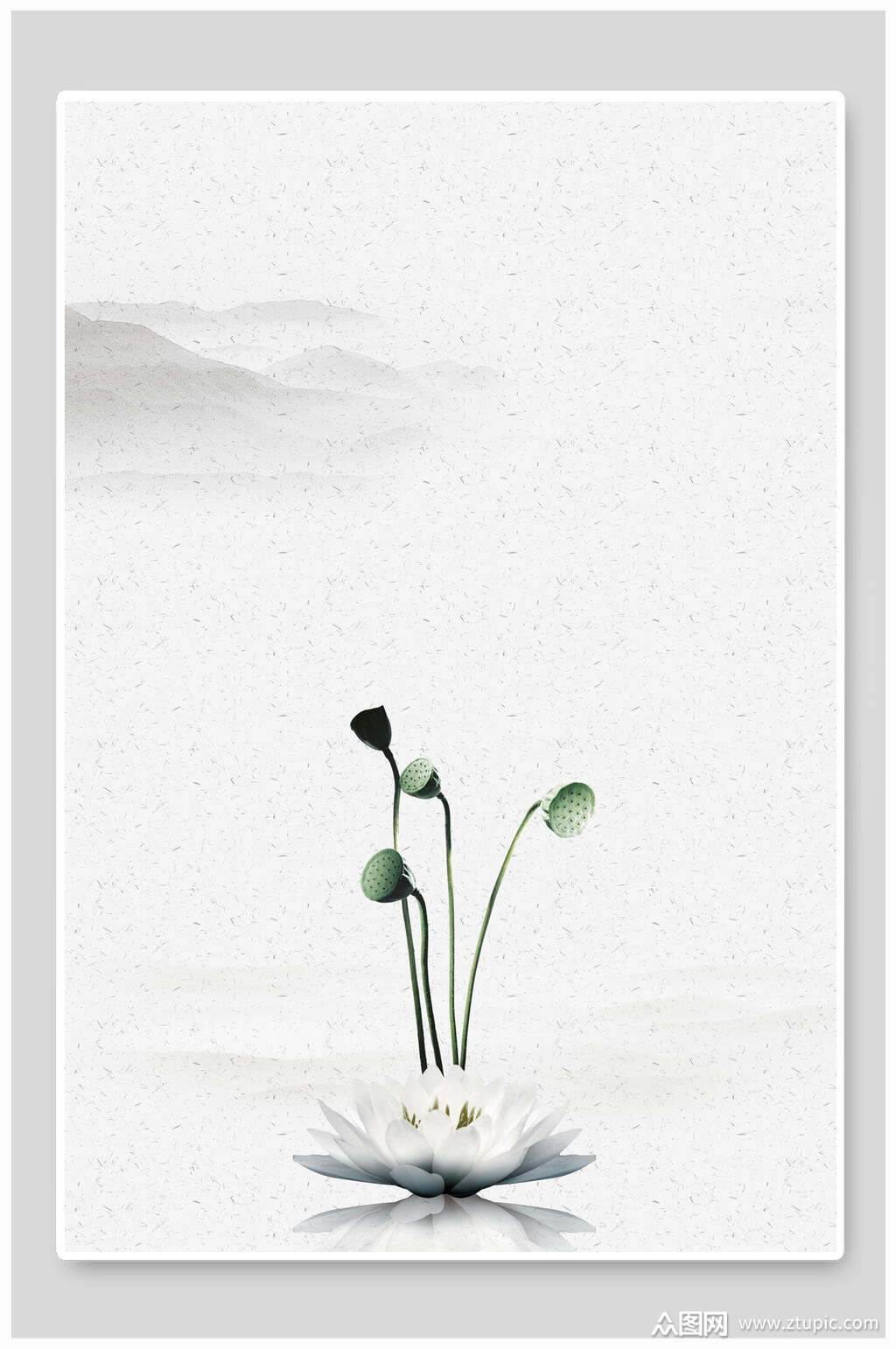 荷花国风背景素材