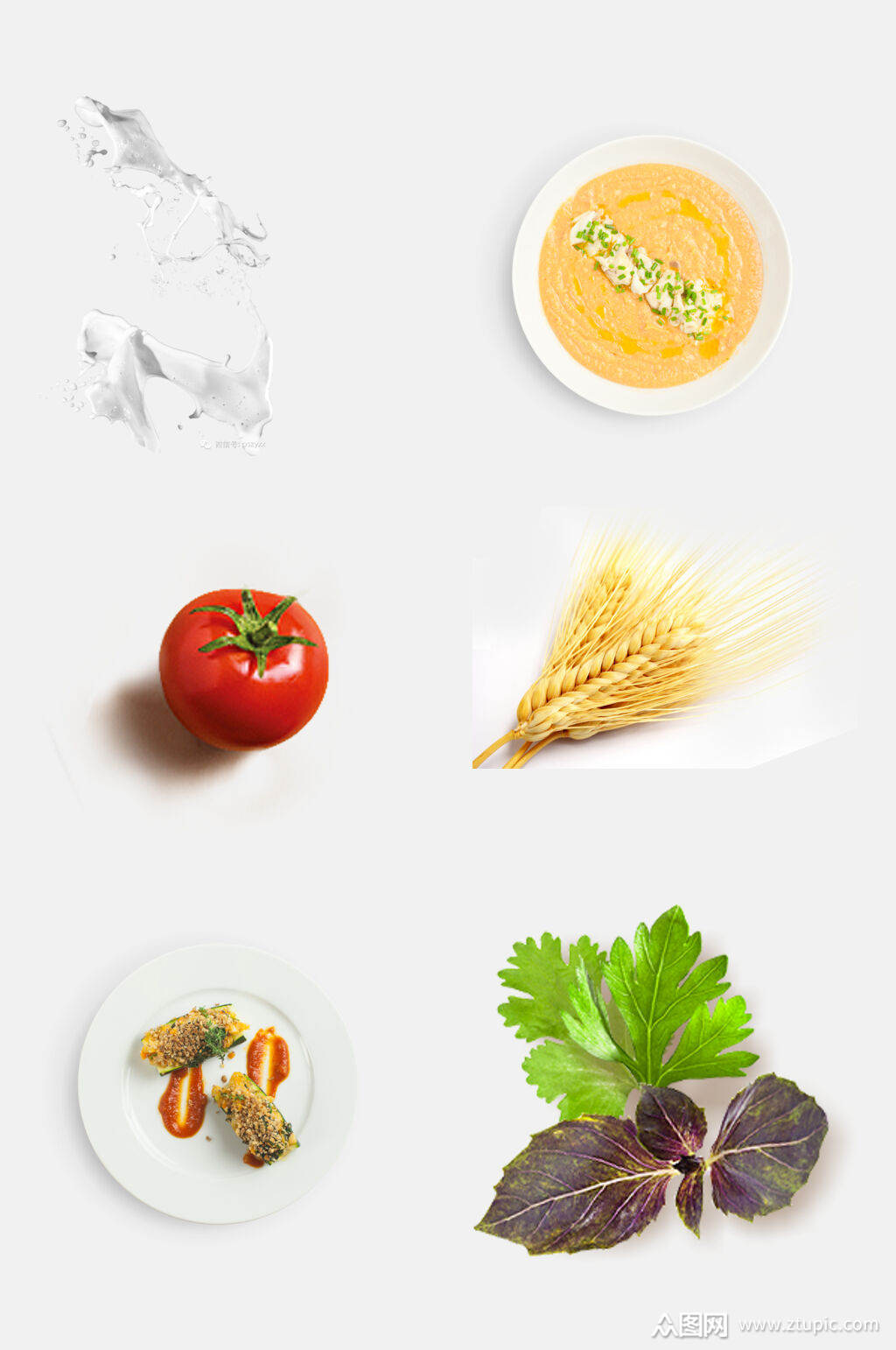 清新食物果蔬食材免抠素材素材