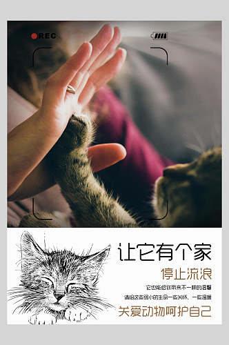保护流浪猫公益海报