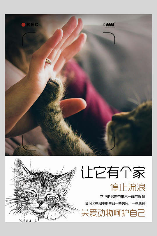 保护流浪猫公益海报