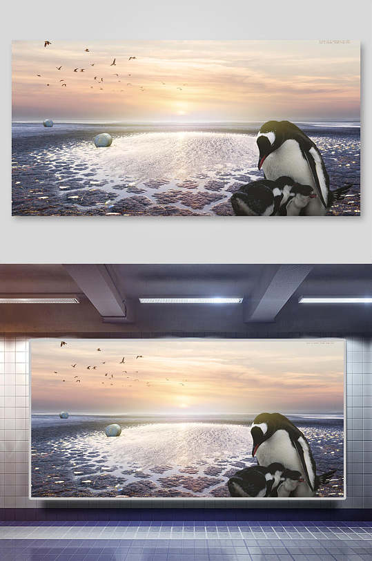 动物企鹅保护海报背景展板