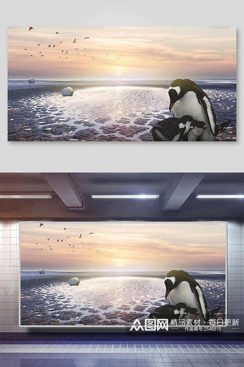 动物企鹅保护海报背景展板素材