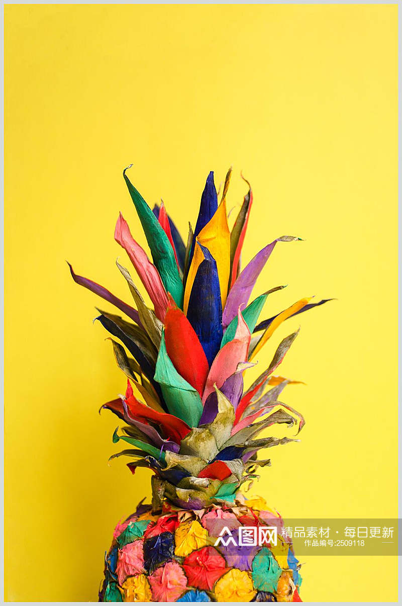 彩色菠萝食品美食甜品摄影图素材