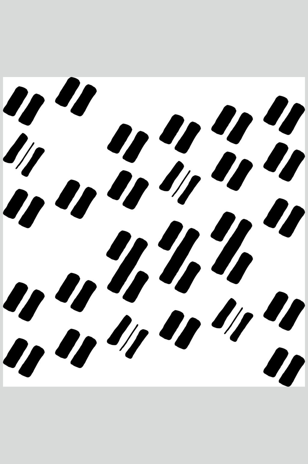 黑白纹理矢量素材素材