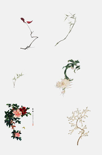 中国风花卉花鸟工笔画免抠素材