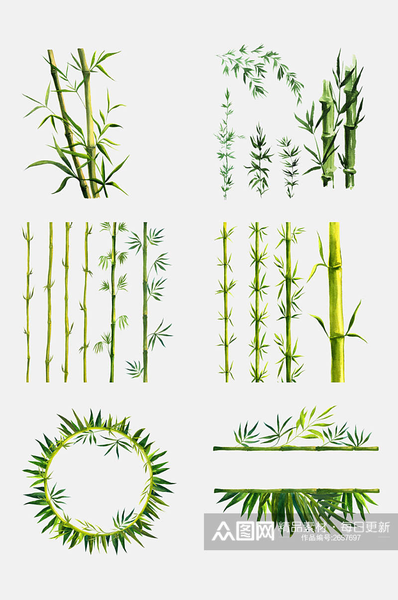 植物竹林竹子免抠素材素材