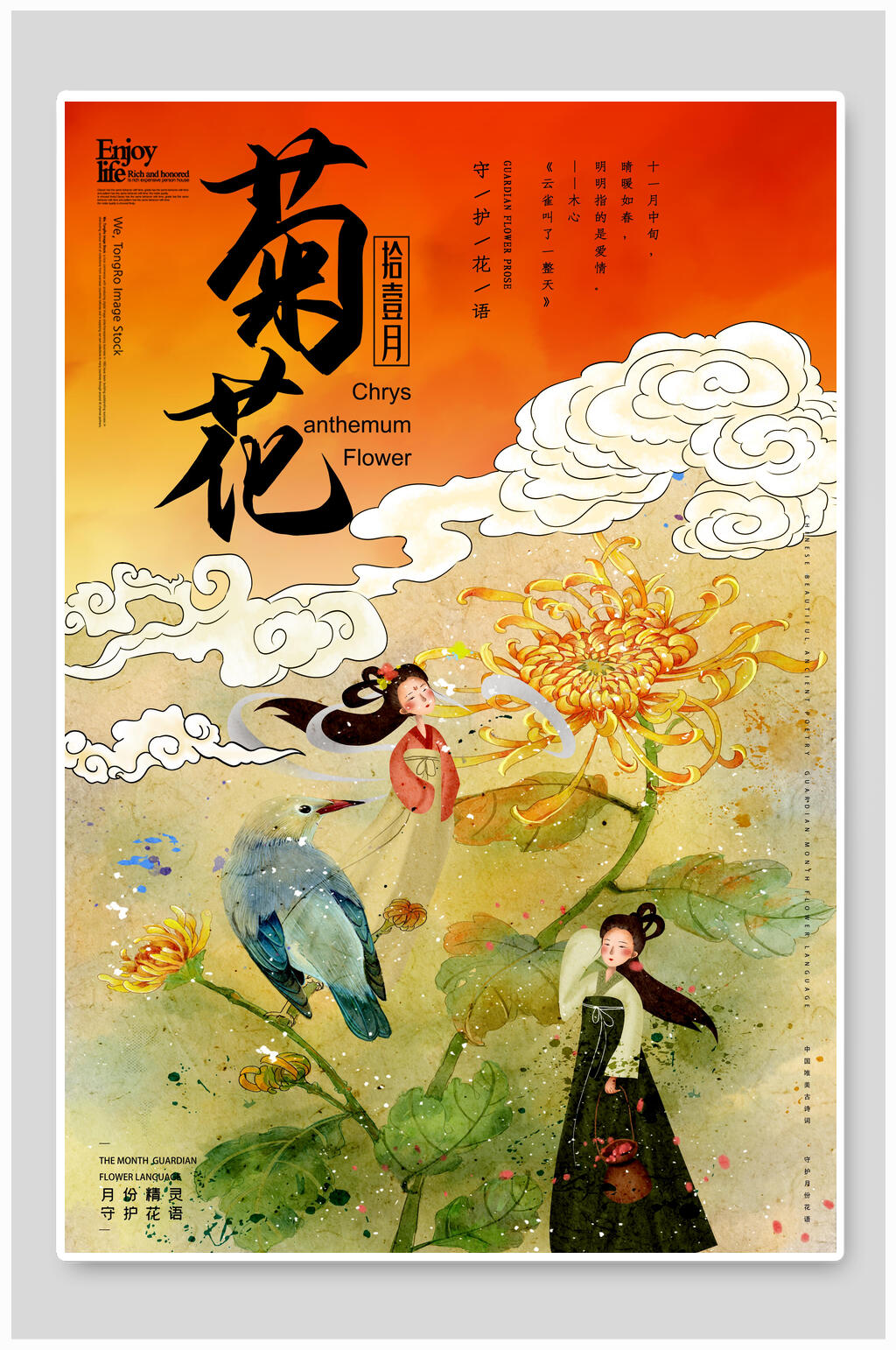 古风菊花花信海报素材