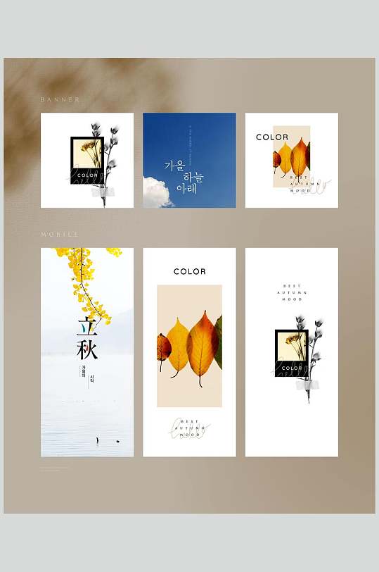 简洁典雅书签卡片展示样机