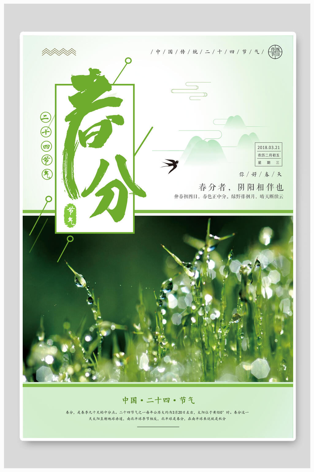 绿色植物春分二十四节气海报素材