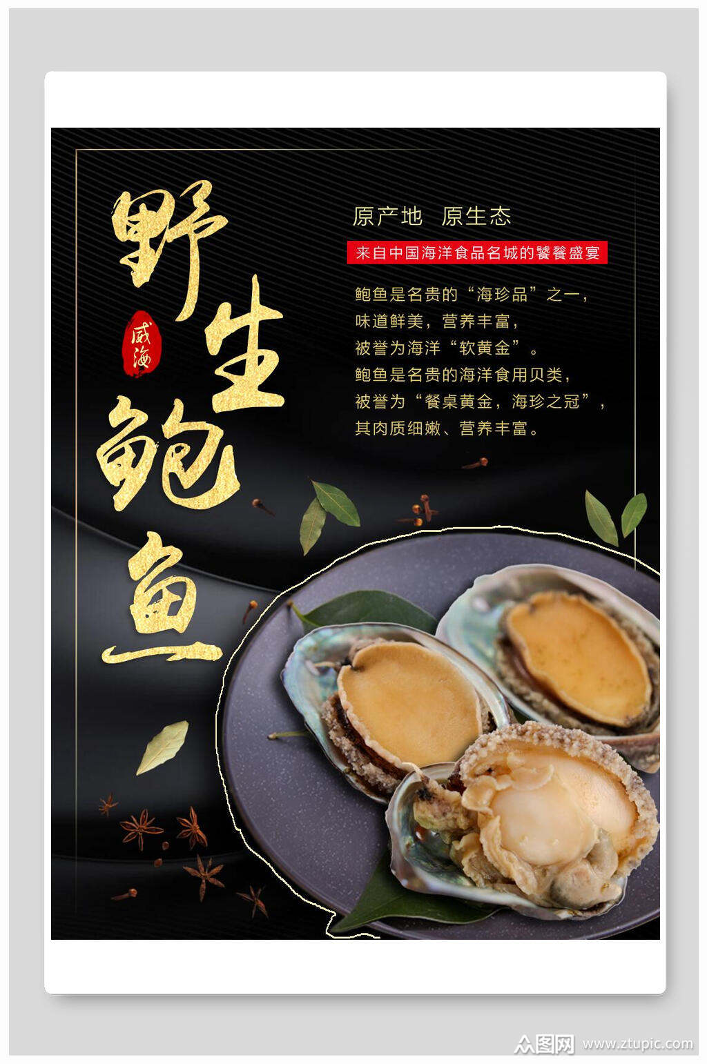 野生鲍鱼美食海报