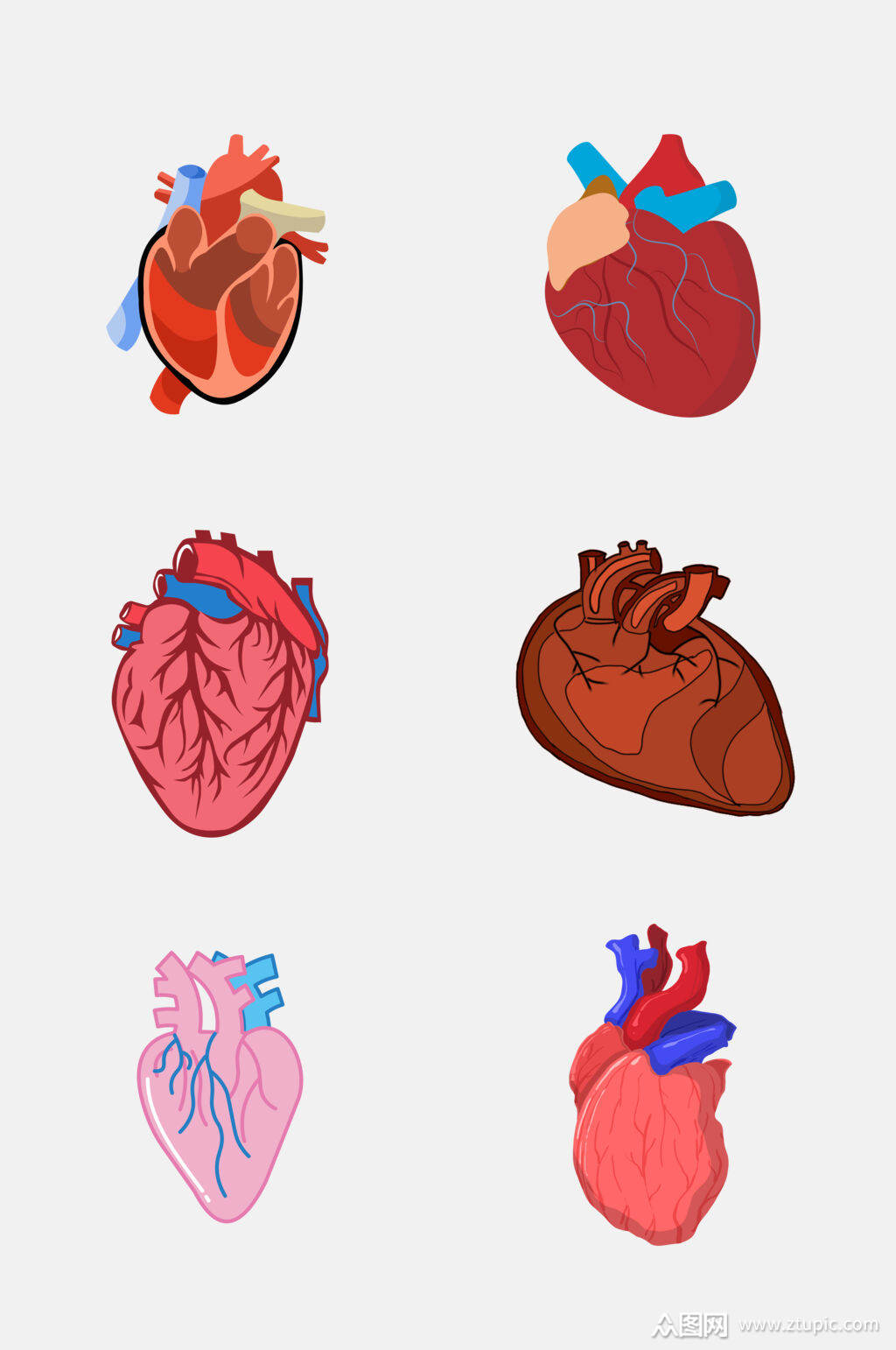 炫彩心脏器官免抠素材