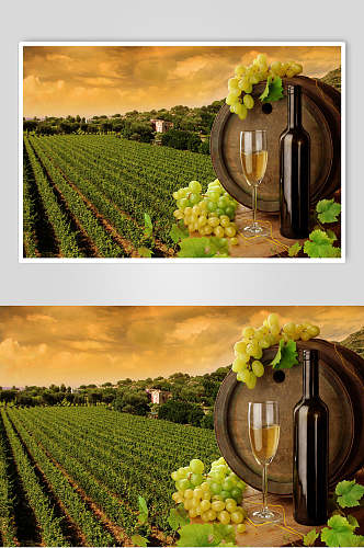 清新绿色干红葡萄酒图片