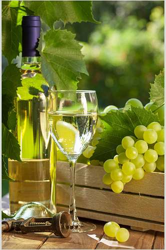 绿色生态干红葡萄酒图片