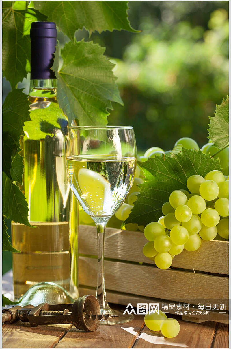 绿色生态干红葡萄酒图片素材