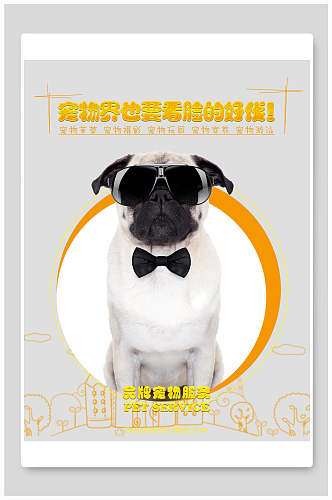 品牌宠物服务宣传海报