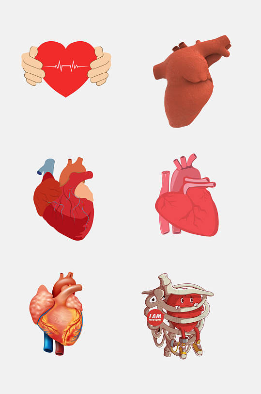 清新卡通大气心脏器官免抠素材