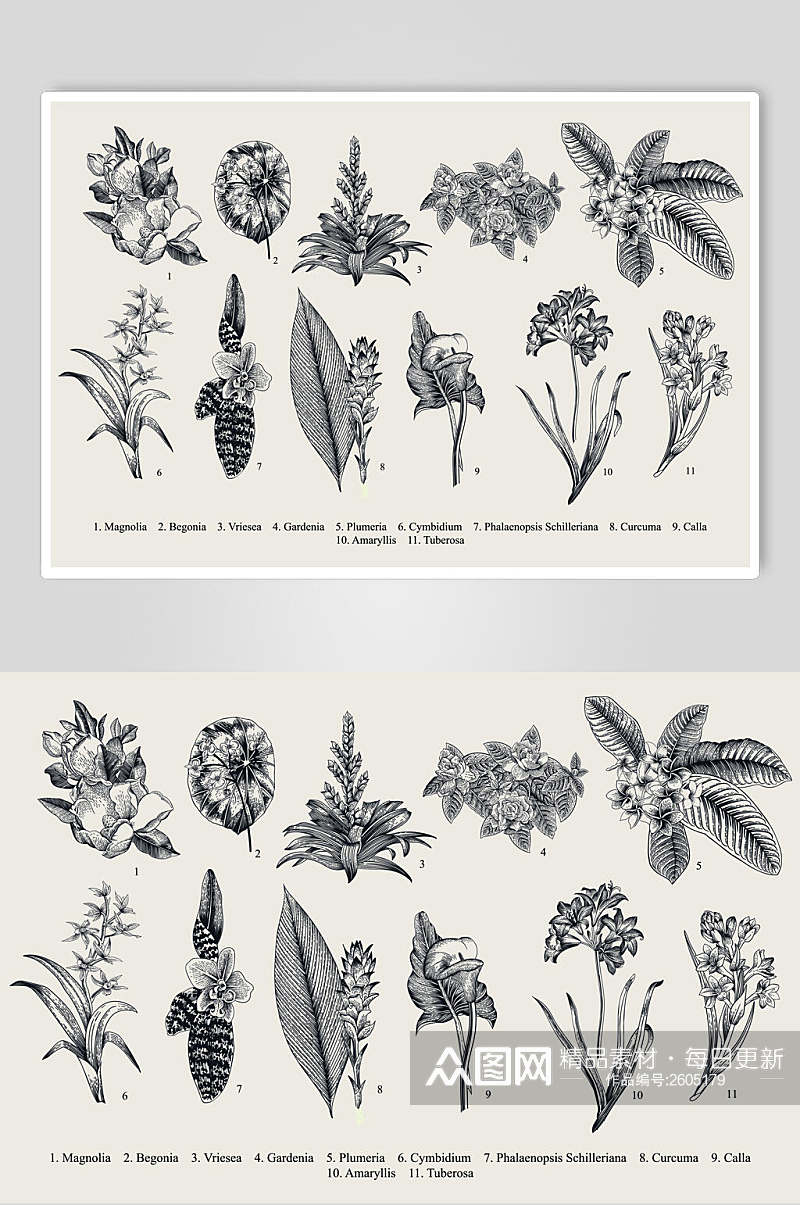 灰色大气手绘扁平植物矢量素材素材