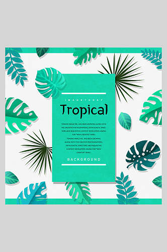 精美热带植物背景海报