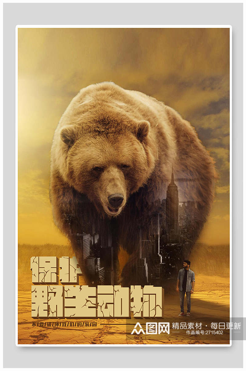 熊保护野生动物海报素材